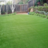 Grass Carpet Steamboat Springs, Colorado Garden Ideas, Backyard Designs