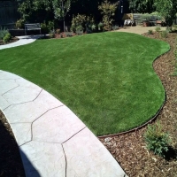 Grass Installation Salt Creek, Colorado Garden Ideas, Front Yard