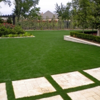 Grass Turf Genesee, Colorado Home And Garden, Backyard Designs