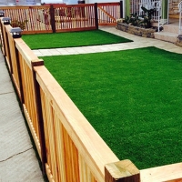 Green Lawn Lamar, Colorado Roof Top, Front Yard Landscape Ideas