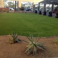 Green Lawn Springfield, Colorado Garden Ideas, Commercial Landscape