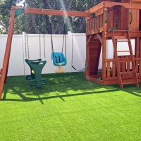 Green Lawn Swink, Colorado Landscaping, Backyard Design