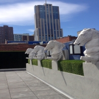 Installing Artificial Grass Mountain Meadows, Colorado Rooftop, Veranda