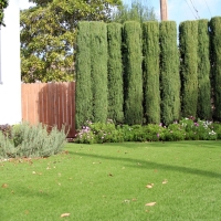 Installing Artificial Grass Raymer, Colorado City Landscape, Front Yard Design