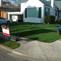 Installing Artificial Grass Superior, Colorado Gardeners, Front Yard Landscape Ideas