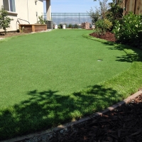 Lawn Services Gleneagle, Colorado Landscaping, Backyard Landscaping