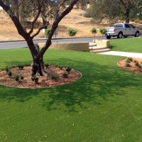 Outdoor Carpet Bethune, Colorado Landscape Design, Small Front Yard Landscaping