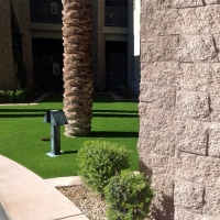 Outdoor Carpet Clifton, Colorado Lawn And Garden, Commercial Landscape