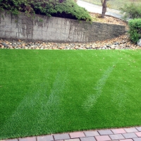 Outdoor Carpet Evergreen, Colorado Garden Ideas, Backyard Ideas