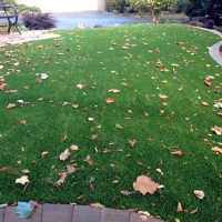 Plastic Grass Berthoud, Colorado Backyard Deck Ideas, Front Yard Landscaping Ideas