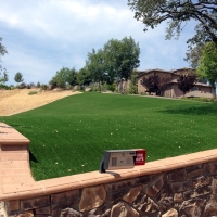 Plastic Grass Creede, Colorado Landscape Ideas, Front Yard Ideas