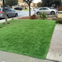 Plastic Grass Fountain, Colorado Roof Top, Front Yard Design