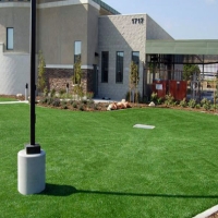 Plastic Grass Jansen, Colorado Landscaping Business, Commercial Landscape