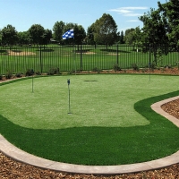 Plastic Grass Lynn, Colorado Home Putting Green, Small Backyard Ideas