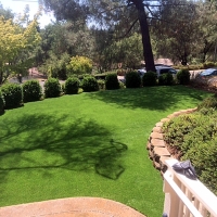 Synthetic Grass Cost Crisman, Colorado Lawns, Beautiful Backyards