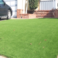 Synthetic Grass Cost Leadville, Colorado Landscape Design, Front Yard Landscaping