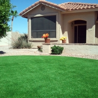 Synthetic Grass Cost Leyner, Colorado Landscape Design, Front Yard Design