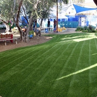 Synthetic Grass San Luis, Colorado Landscape Ideas, Commercial Landscape