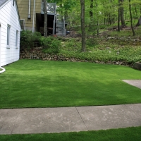 Synthetic Lawn Coaldale, Colorado Backyard Deck Ideas, Front Yard Design