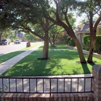 Synthetic Lawn Vineland, Colorado City Landscape, Front Yard Design