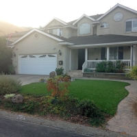 Synthetic Lawn Woodland Park, Colorado Backyard Playground, Front Yard Landscaping