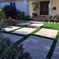 Synthetic Turf Applewood, Colorado Rooftop, Front Yard Landscape Ideas