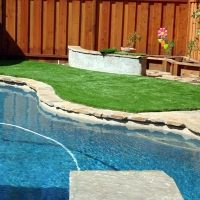 Synthetic Turf Dove Valley, Colorado Design Ideas, Backyard Designs