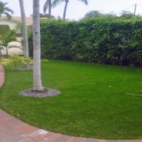 Synthetic Turf Keota, Colorado Design Ideas, Front Yard Design