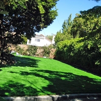 Synthetic Turf Sedalia, Colorado Roof Top, Backyard Landscaping