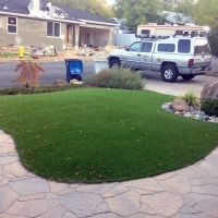 Synthetic Turf Supplier Coal Creek, Colorado Backyard Playground, Front Yard Ideas