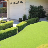 Synthetic Turf Supplier Naturita, Colorado Design Ideas, Front Yard Ideas