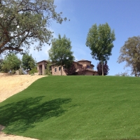 Synthetic Turf Supplier Peyton, Colorado Lawns, Front Yard Landscaping Ideas