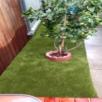 Synthetic Turf Yuma, Colorado Garden Ideas, Backyards