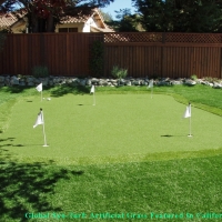 Turf Grass Commerce City, Colorado Paver Patio, Beautiful Backyards