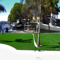 Turf Grass Greenwood Village, Colorado Landscaping, Backyard Makeover