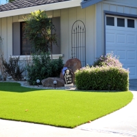 Turf Grass Two Buttes, Colorado Garden Ideas, Front Yard