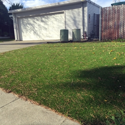 Artificial Grass Carpet Crested Butte, Colorado Landscaping, Front Yard Landscaping