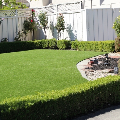 Artificial Grass Carpet Durango, Colorado Rooftop, Front Yard Ideas