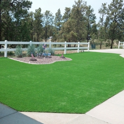 Artificial Grass Carpet Paragon Estates, Colorado Landscape Rock, Front Yard