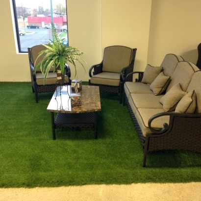 Artificial Grass Carpet Peyton, Colorado Landscape Photos, Commercial Landscape