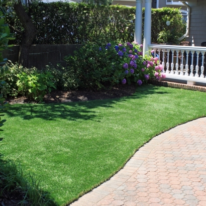 Artificial Grass Carpet Superior, Colorado Backyard Playground, Front Yard Landscaping Ideas