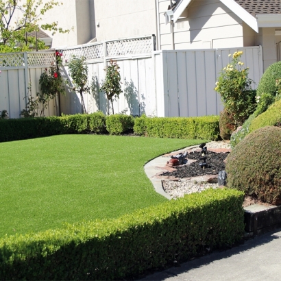 Artificial Grass Carpet Timnath, Colorado Gardeners, Front Yard Landscaping