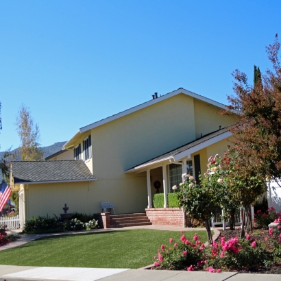 Artificial Grass Fort Collins, Colorado Home And Garden, Front Yard Landscape Ideas