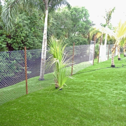 Artificial Grass Howard, Colorado Roof Top, Backyard