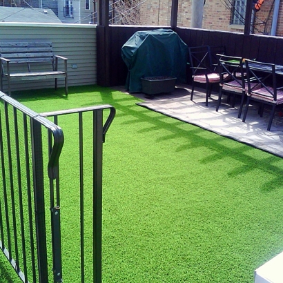 Artificial Grass Installation Saint Marys, Colorado Indoor Dog Park, Backyard Makeover