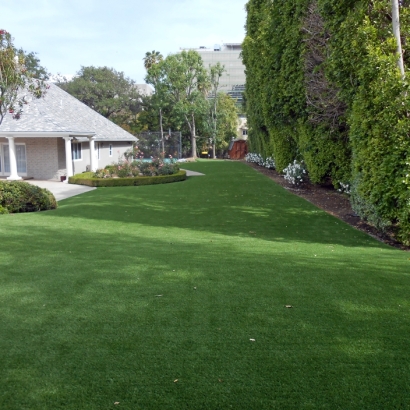 Artificial Grass La Junta, Colorado Garden Ideas, Landscaping Ideas For Front Yard