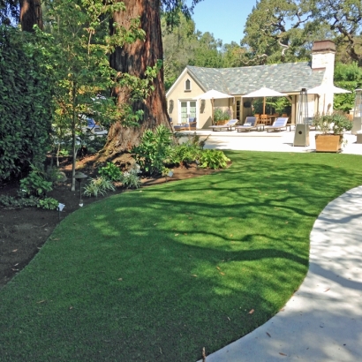 Artificial Grass Laporte, Colorado Home And Garden, Commercial Landscape