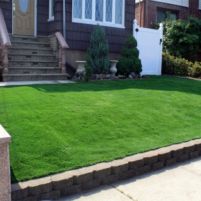 Artificial Grass Rockvale, Colorado City Landscape, Front Yard Landscaping