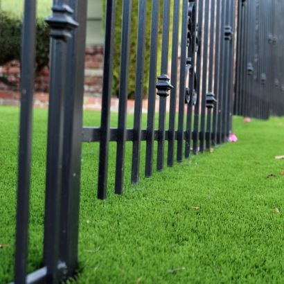 Artificial Grass Salt Creek, Colorado Landscape Design, Front Yard Design