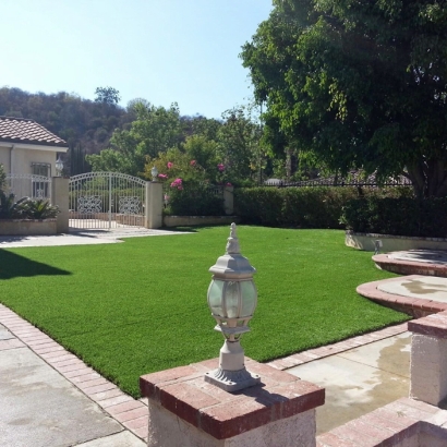 Artificial Grass Security-Widefield, Colorado Landscaping, Front Yard Landscaping Ideas